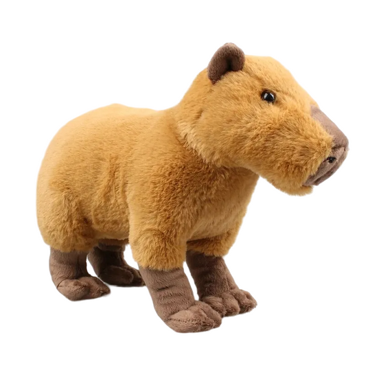 Kawaii Capybara Plush Toy-0