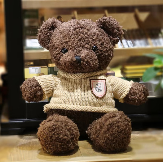 Jumper Teddy Bear Plush Toy-1